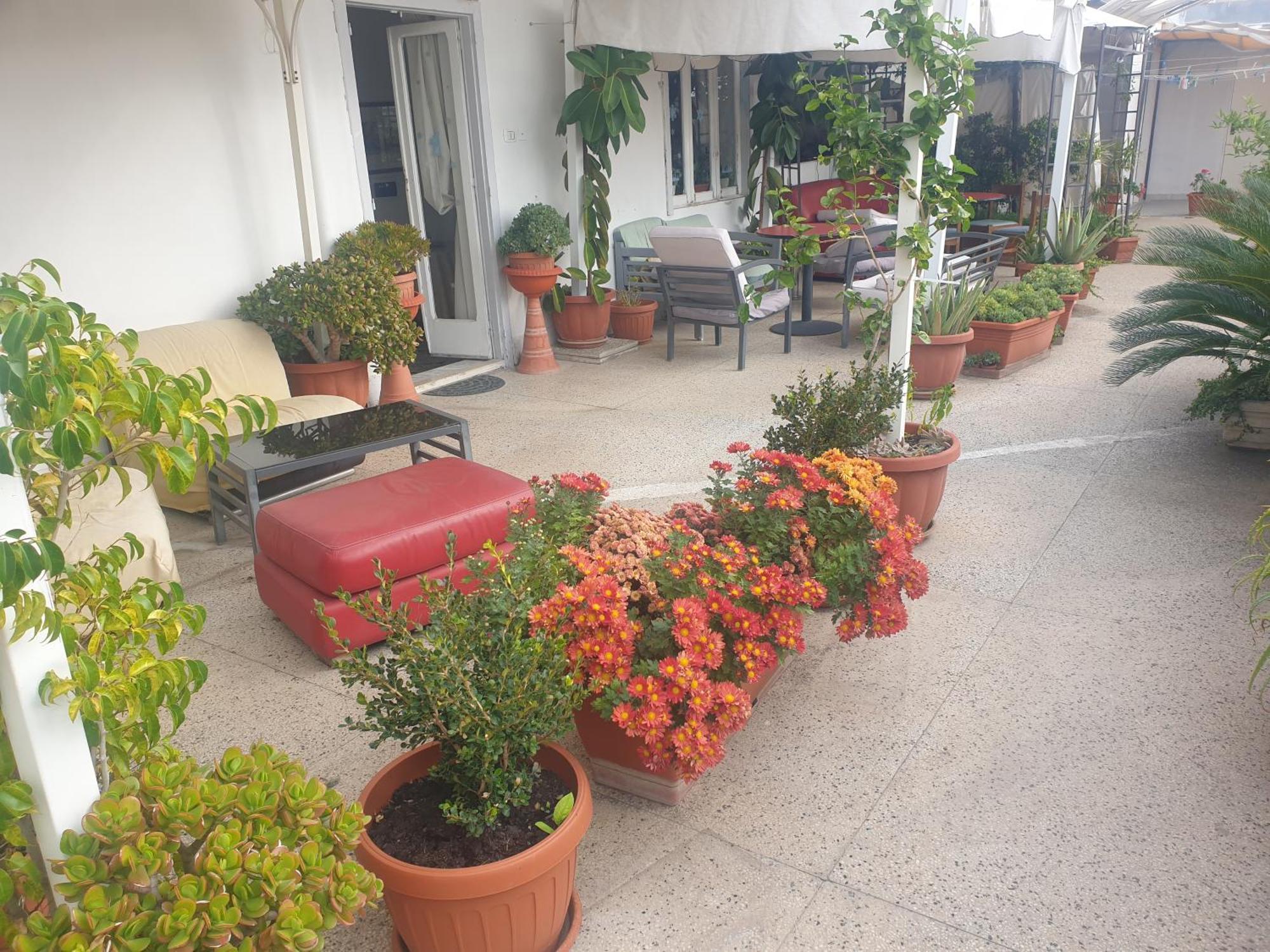 B&B Ganaj La Terrazza Di Ganaj Bari Eksteriør billede